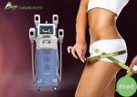 fat freeze weight loss body sculpting vertical cryolipolysis slimming slim