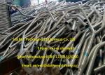 Agriculture Farm Equipment Cattle Stalls Calf Free Stalls For Dairy Cows