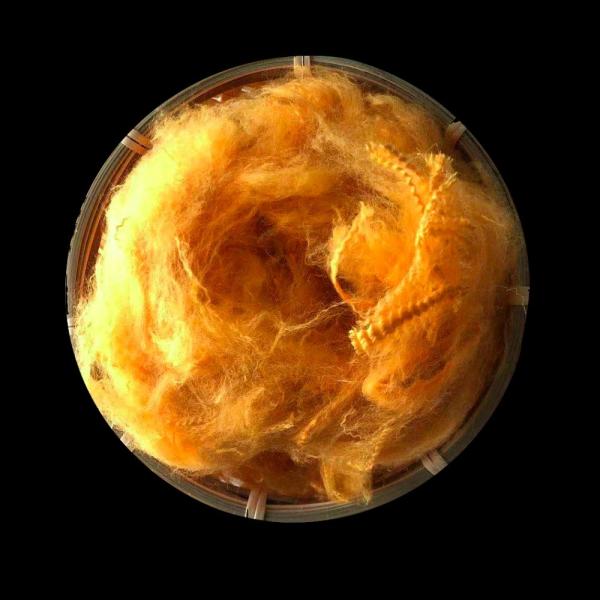 Buy cheap 1.4D×38mm Solid Dope Dyed PSF Fiber Non Siliconized For Spinning from wholesalers