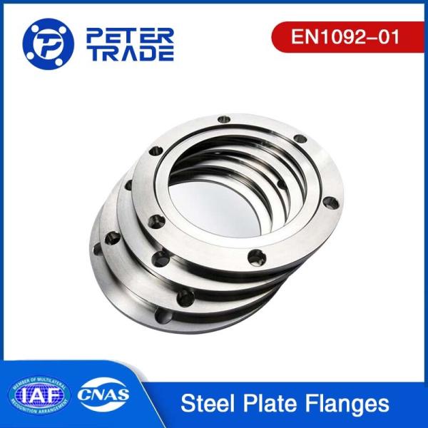 EN1092-01 PN 6 TYPE 01 Carbon Steel Plate Flange Blind PLFF PLRF For Industrial