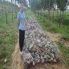 Buy cheap 4.0mm Wire Diameter Gabion Retaining Wall For Riverbank Protection from wholesalers