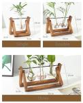 Desktop Glass Planter Plant Terrarium with Retro Solid Wooden Stand and Metal