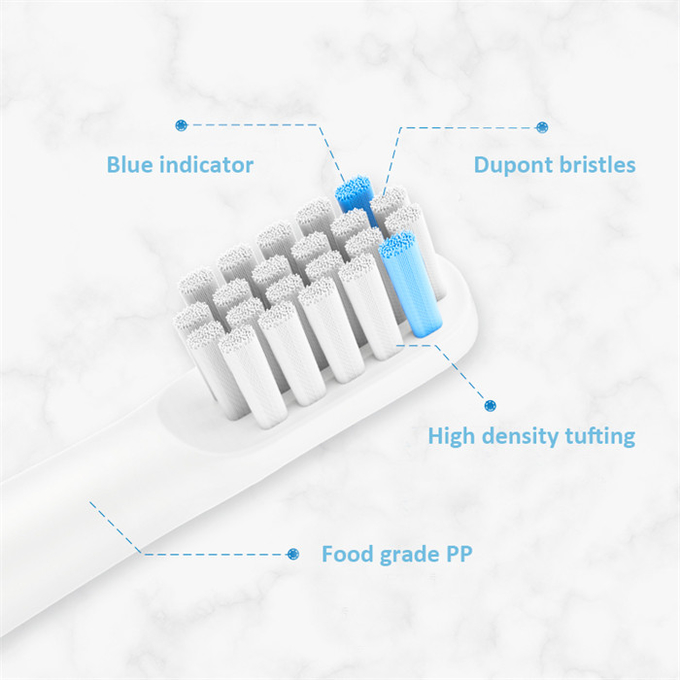 Smart Automatic Sonic Electric Toothbrush 25000VPM Frequency IPX7 Waterproof