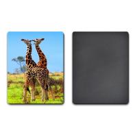 Buy cheap UV Offset Printing Lenticular 3D Fridge Magnets For Gift , Printed Fridge product
