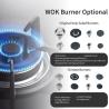 Buy cheap Multifunction 5 Burner Gas Stove Standard Stainless Steel Gas Cooker from wholesalers