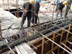Ningbo Factory Product Concrete Vibrator /Internal Concrete Vibrator Hose