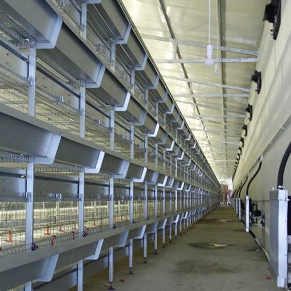 Buy cheap Less Feed Wastage Indoor Chicken Cage , Auto Feeding Poultry Farm Cage from wholesalers