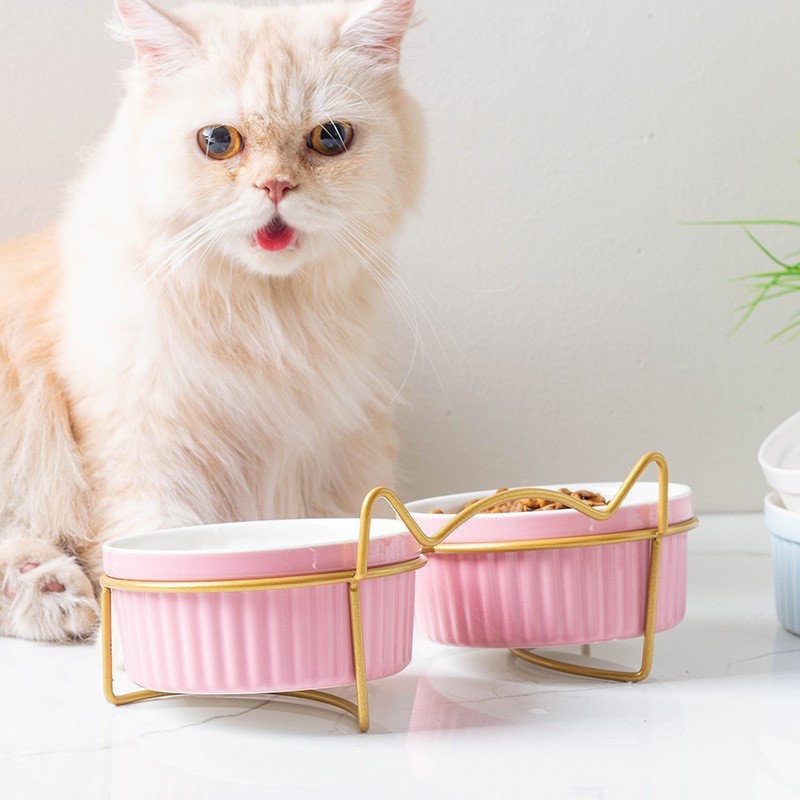Ceramic Double Bowl Water Bowl High Foot Cat Food Bowl Drinking Bowl Pet Bowl Oblique Mouth Food Bowl Supplies