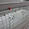Buy cheap Poultry Farming Equipment Automatic H Type Battery System Broiler Chicken Cages from wholesalers