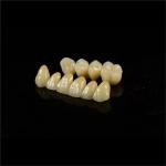Personalized Strong Ceramic Zirconia Dental Crown Full Mouth Full Contour