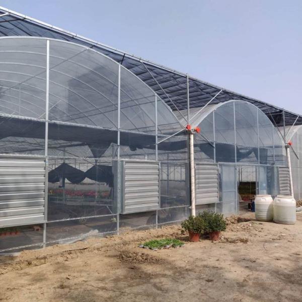 Buy cheap Polyethylene Film Multi Span Greenhouse Agricultural Commercial Industrial from wholesalers