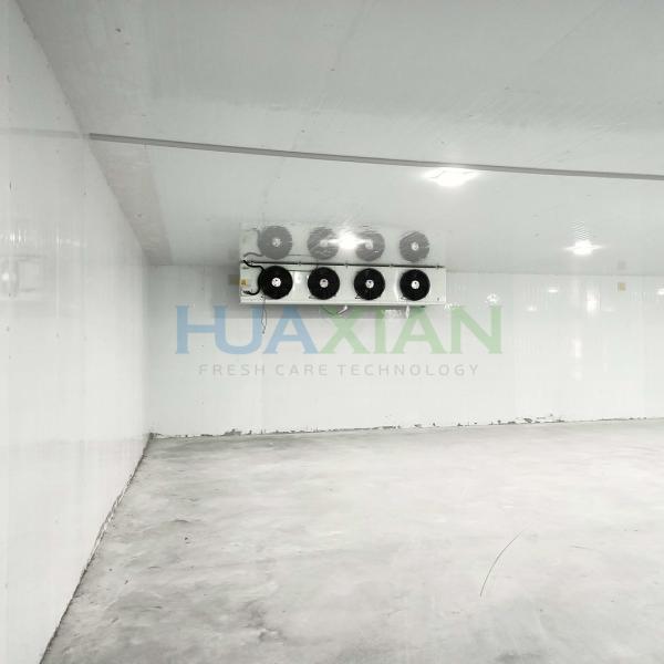 China Sale Commercial Refrigeration and Freezing Walk in Cooler Freezer Cold
