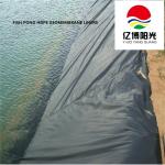 Outdoor HDPE Geomembrane Liners for Aquaculture Pond 0.5mm Thickness Chinese