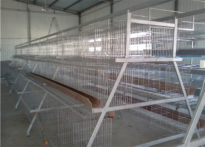 Q235 Layer Bird Cage 3 Tier 5 Doors Galvanized Chicken Layer Cages