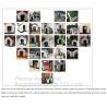 Buy cheap Outdoor Large Plastic Dog House For Large Breed Dog, Plastic Dog Transport House & Box & Cage, Fashion big dog apartment from wholesalers