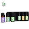 Buy cheap 10ML 6pcs Aromatherapy Essential Oil Set Pure Natural Customized from wholesalers