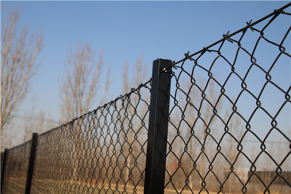 2.1mx10mx50x50mm galvanized steel chain link fence from ". Victoria "