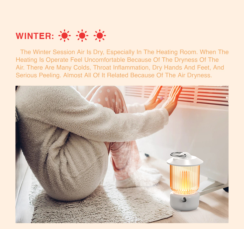 HOMEFISH Tabletop Battery Operated USB Air Humidifier 260ml