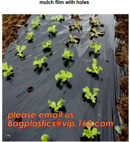 Panda Film for Blackout Greenhouse/Black-White Poly is UV-Stabilized Plastic Mushroom,0.1mm 0.12mm 0.15mm 0.18mm 0.2mm 0