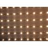 Buy cheap Waterproof LED Net Mesh Fairy Lights 180 Degrees Wide Viewing Angel 10cm Spacing from wholesalers