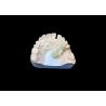 Buy cheap Natural Color Zirconia Dental Crown Crack Resistant For A Flawless Smile from China Dental Lab from wholesalers