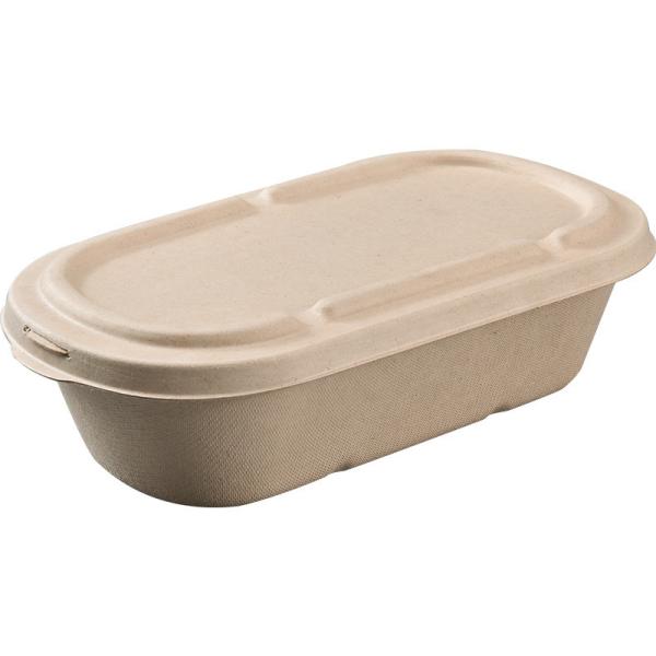 Buy cheap Sugarcane Bagasse Salad Fruit Take Away Food Containers Biodegradable from wholesalers