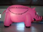 Inflatable Lighting 3 Meters Custom Shaped Balloons 0.25mm PVC Material