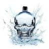 Buy cheap Newest Industrial 500ml Super Flint Glass Skull Vodka Bottle with Sealed Aluminium Cap from wholesalers