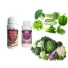 Buy cheap AcNPV & Bt & Chlorfenapyr SC Organic Natural Insecticide For Tomato Plants from wholesalers
