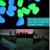 Buy cheap 100PCS DIY Luminous Garden Stones For Yards Lawns Walkways from wholesalers