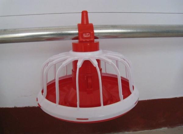 Buy cheap automatic poultry equipments of feeder from wholesalers