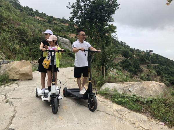 Buy cheap 25km/h Battery Charging Electric Balance Scooter from wholesalers