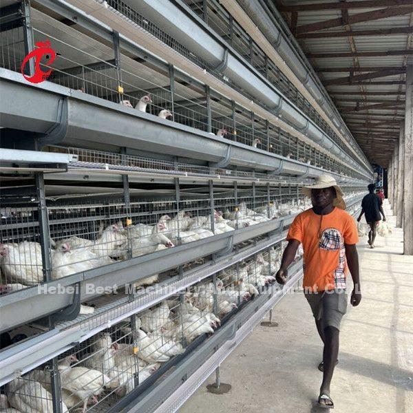 Buy cheap H Type Full Hot Dip Galvanized Automatic Chicken Cage Equipment For Chicken Farm Sandy from wholesalers