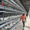 Buy cheap Poultry Farm Computer Control Automatic Chicken Cage Equipment Modern Sandy from wholesalers