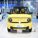 GEELY Panda Chinese Mini Electric Car EV Top Speed 100km/H For Urban Transportat