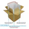 Buy cheap Takeout Thermal Delivery Bag Insulated Foil Bubble Box Liners, Medical Cool Shield Bag Cold Chain Transport bags from wholesalers