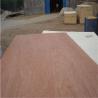 Buy cheap Hotel Bintangor Back 610*2440mm Green Panel Plywood from wholesalers