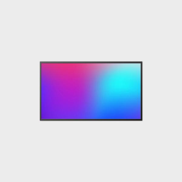 65 Inch Screen Advertising Display 1920*1080 Commercial Digital Display Screen