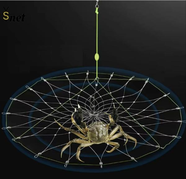Buy cheap Customized Crab Net Bait Cage Foldable Crab Catching Cage For Ultimate Catch from wholesalers
