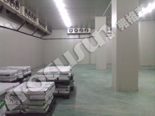 Compressor Refrigeration System Frozen Cold Room for Frozen Product Preservation