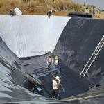 Black HDPE Geomembranes The Ultimate Protection for Aquaculture Fish Pond Liners