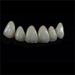 Tooth Multi Layered Zirconia Crown for Restorative Dentistry