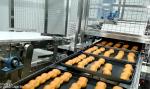 ISO9000 25cm Insulation Baking Tunnel Pastry Production Line