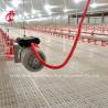 Buy cheap Stainless Steel Floor Type Poultry Farm Equipment Automatic Feeding And Drinking System Adela from wholesalers