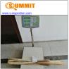 Buy cheap Pampas Grass CE Pre Shipment Inspection Services from wholesalers
