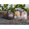 Buy cheap Airline-oriented Disposable Plastic Shakers For Seasonings Of Salt And Black Pepper Portable For Trips from wholesalers