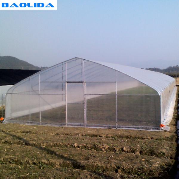 Buy cheap Tunnel Agriculture 8m Greenhouse Plastic Film Polyethylene Film Greenhouse from wholesalers