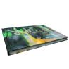 Buy cheap Gentle Souls Of The Forest Hardcover Coffee Table Book from wholesalers