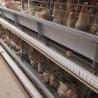 Buy cheap 0.75kw Auto Feeding Layer Chicken Cage 54-384 Birds For Husbandry from wholesalers
