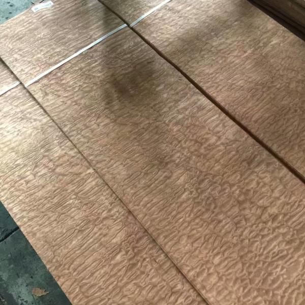 Buy cheap 0.6mm Natural Sapeli Sapele Pommele Sliced Wood Veneer for Furniture Plywood Architectural Woodwork and Interior Decor from wholesalers